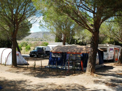 Emplacement camping ombragé 66